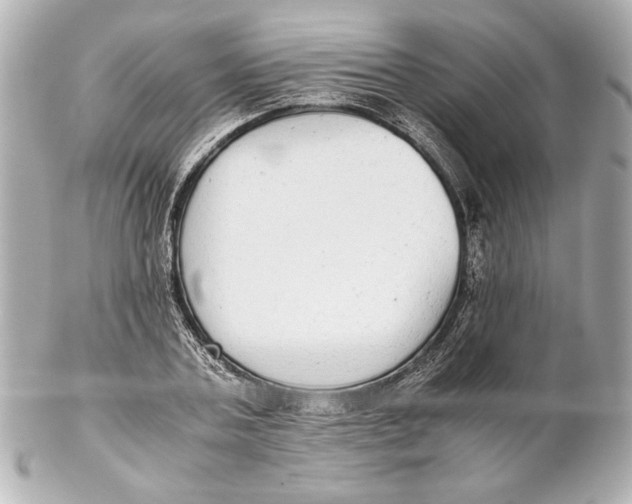 X0000102270787200808151903