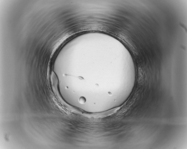 X0000102270788200808151903