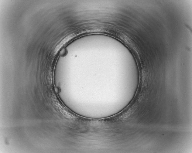 X0000102270789200808151903