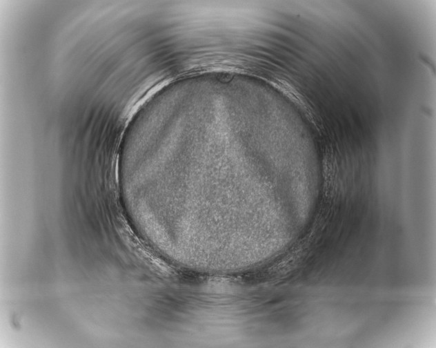 X0000102270790200808151903