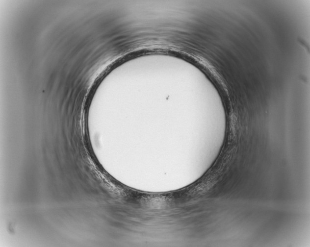 X0000102270791200808151903