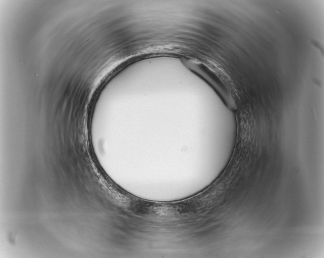 X0000102270792200808151903