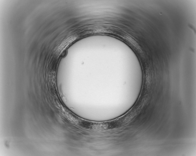 X0000102270793200808151903