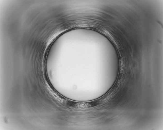 X0000102270795200808151903