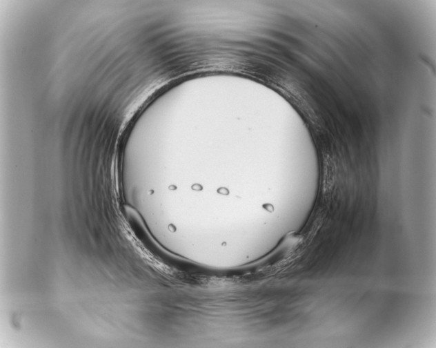 X0000102270796200808151903