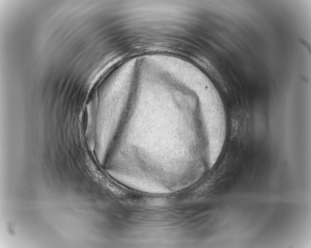 X0000102270798200808151903