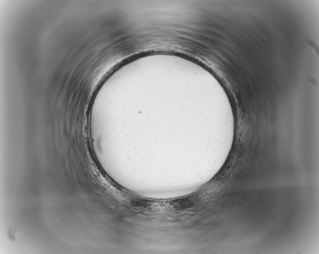 X0000102270799200808151903