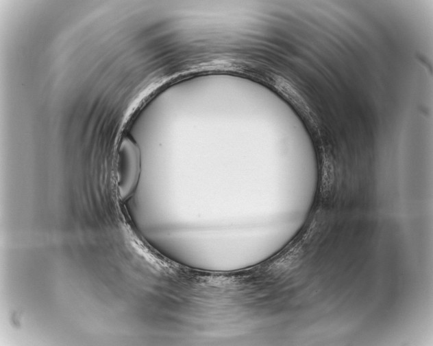 X0000102270800200808151903