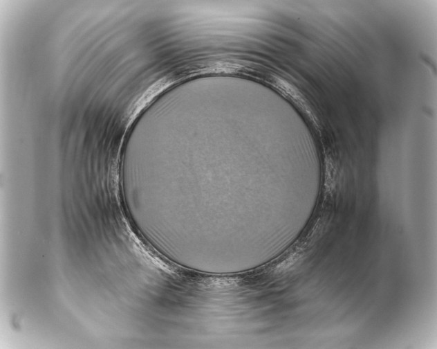 X0000102270802200808151903