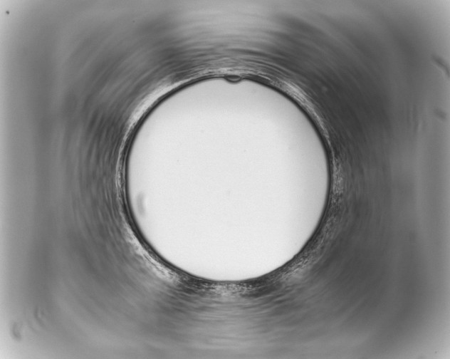 X0000102270803200808151903