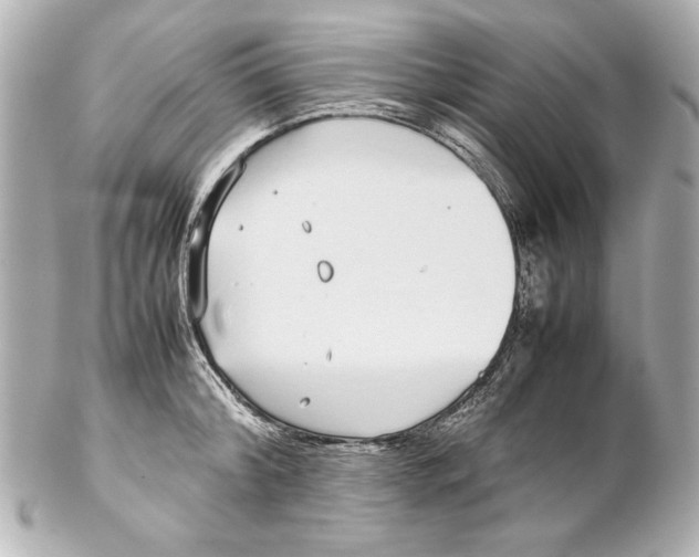 X0000102270804200808151903