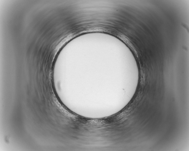 X0000102270805200808151903