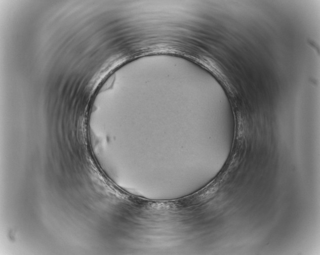 X0000102270806200808151903