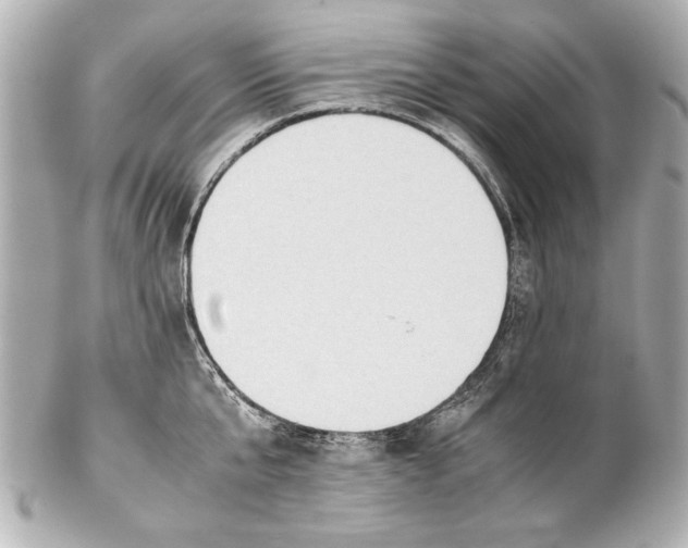 X0000102270807200808151903