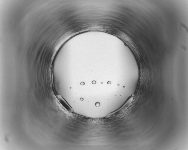 X0000102270808200808151903