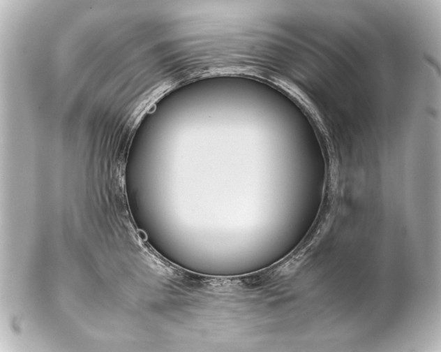 X0000102270809200808151903