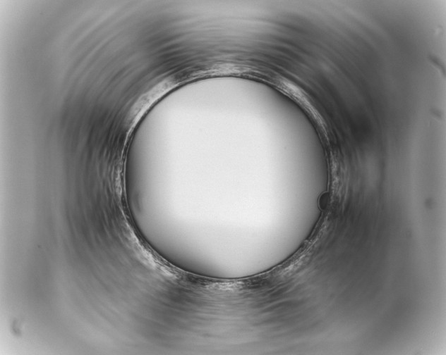 X0000102270810200808151903