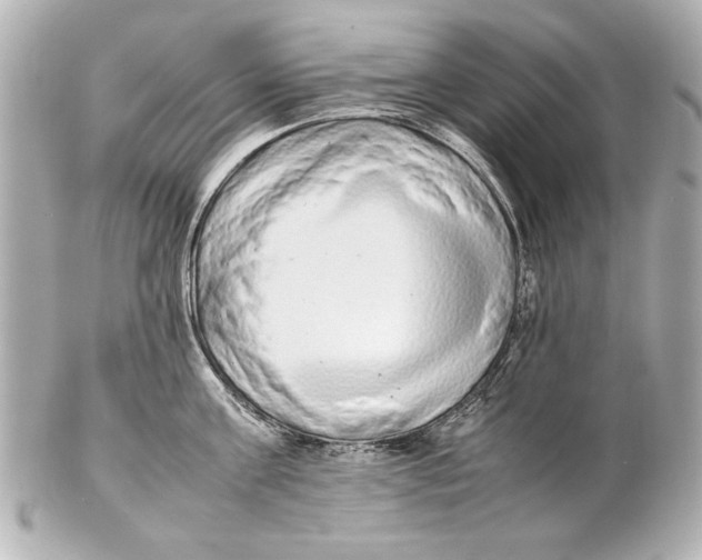 X0000102270811200808151903