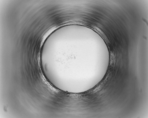 X0000102270812200808151903