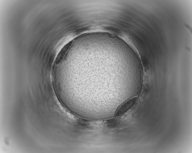 X0000102270813200808151903