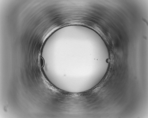 X0000102270814200808151903