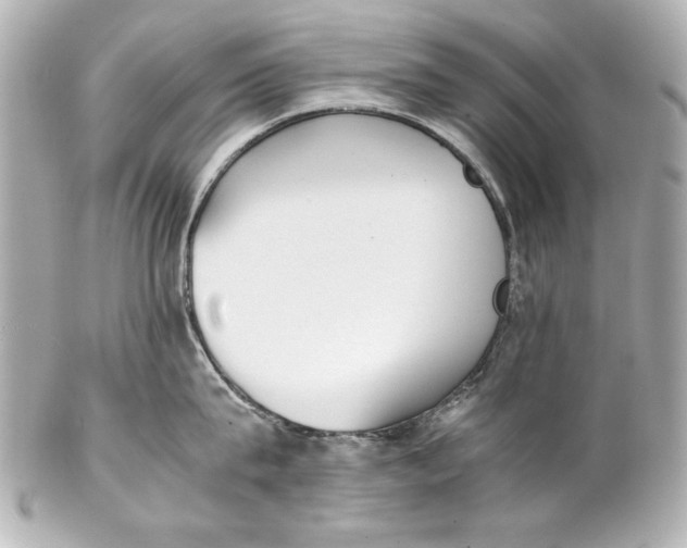 X0000102270815200808151903