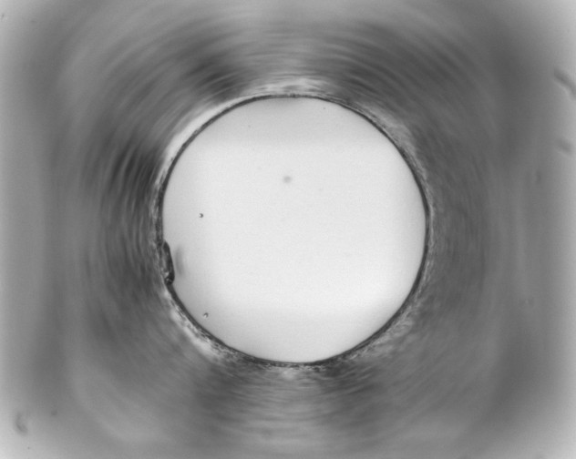 X0000102270816200808151903