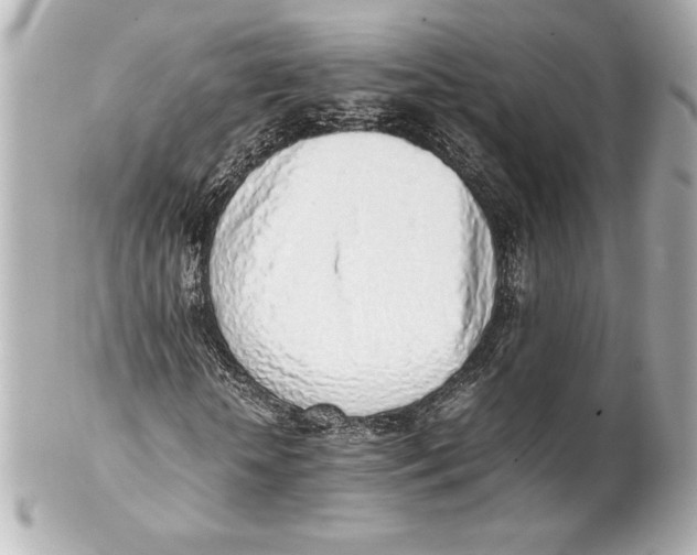 X0000102270818200808151902