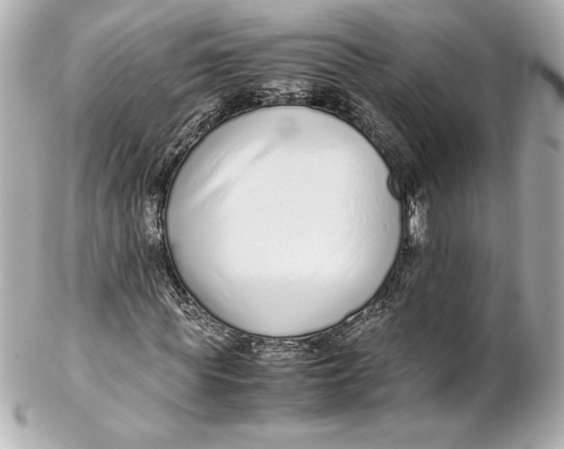 X0000102270819200808151902