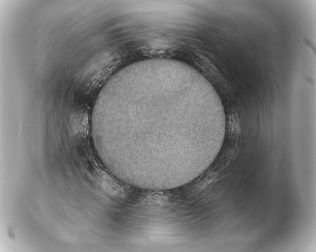 X0000102270820200808151902