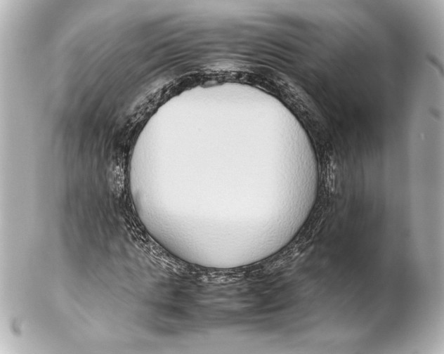 X0000102270821200808151902