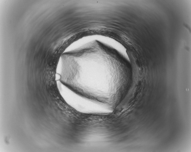 X0000102270822200808151902