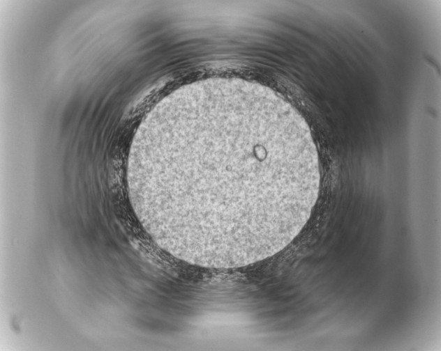 X0000102270824200808151902