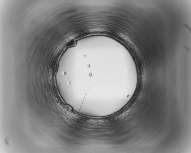 X0000102270825200808151902