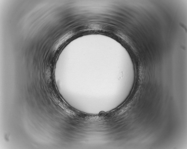 X0000102270826200808151902