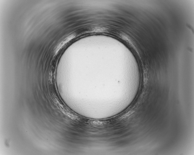 X0000102270827200808151902