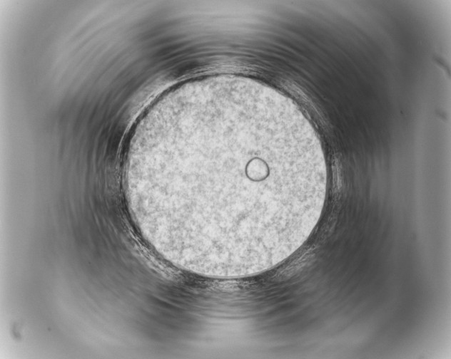 X0000102270828200808151902