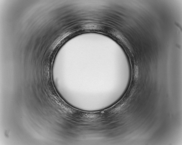 X0000102270829200808151902