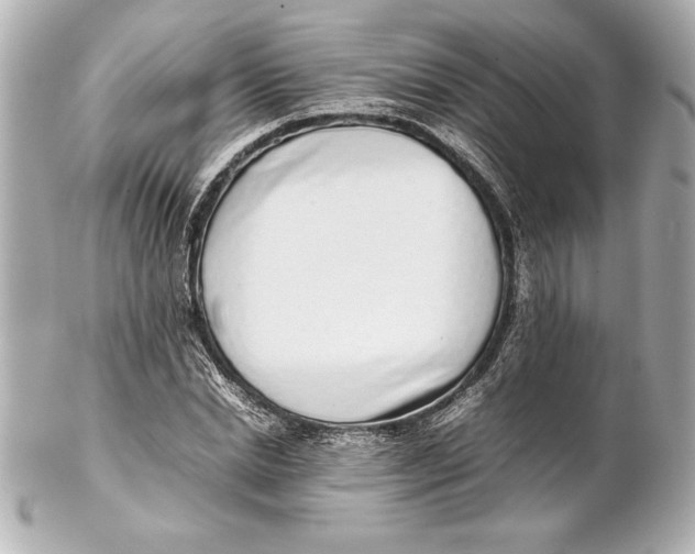 X0000102270830200808151902