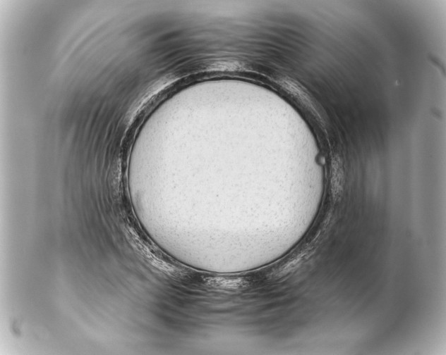 X0000102270831200808151902