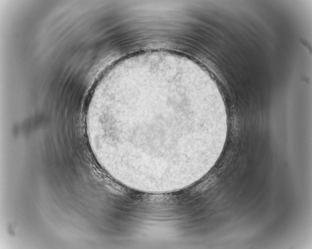 X0000102270832200808151902