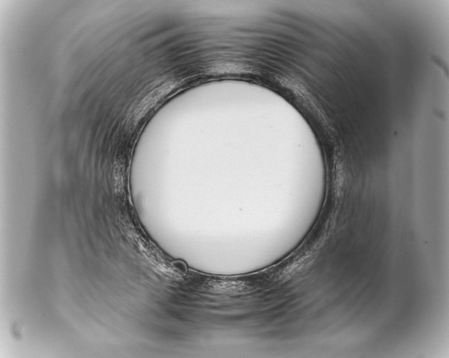 X0000102270833200808151902