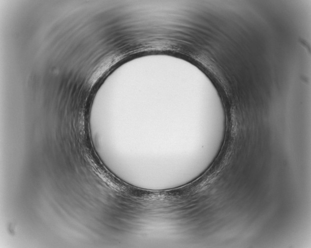 X0000102270834200808151902