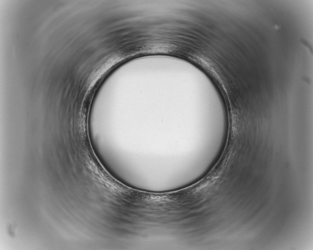 X0000102270835200808151902