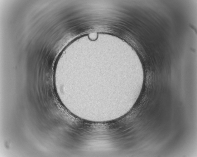 X0000102270836200808151902