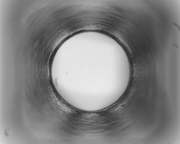 X0000102270837200808151902