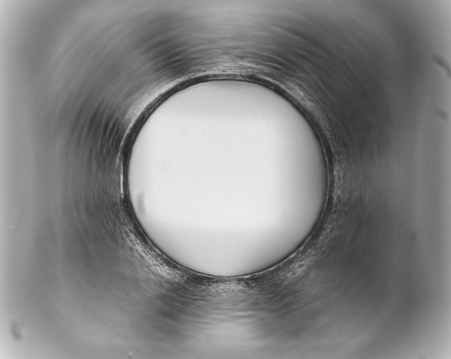 X0000102270838200808151902