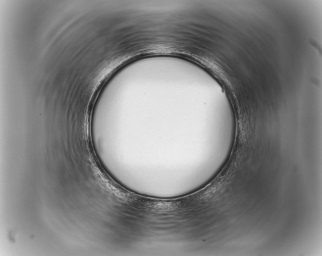 X0000102270839200808151902