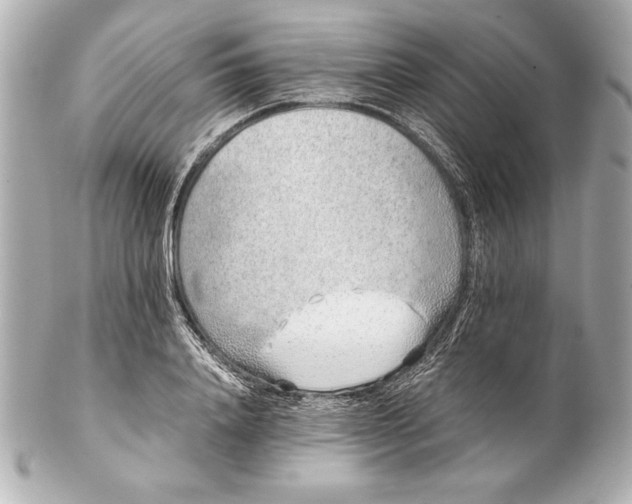 X0000102270840200808151902