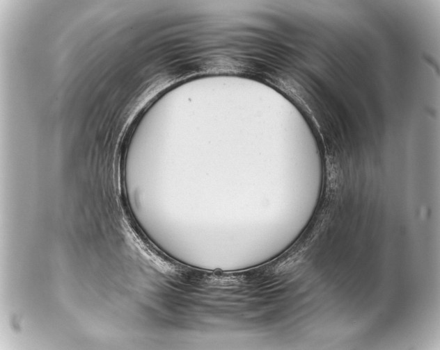 X0000102270843200808151902